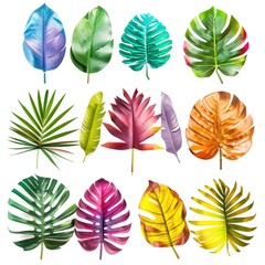 Obraz premium Vibrant tropical leaves in a variety of colors, set against a white background. Each leaf displays a unique shape and vibrant hue, including shades of green, purple, teal, orange, and pink. 