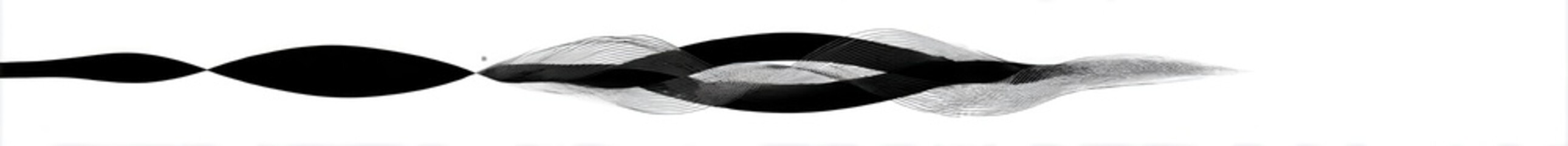 Abstract black and white image with distorted, flowing lines and shapes