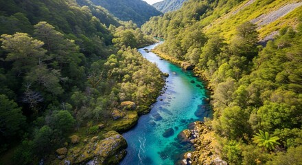 Serene turquoise river winding through lush green forested valley