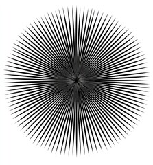 Circular radiating lines form a symmetrical pattern