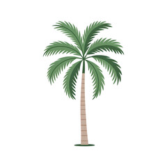 Obraz premium Single stylized palm tree with green leaves and a textured brown trunk on a white background tropical