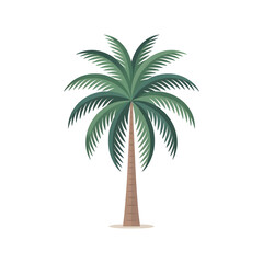Obraz premium Simple palm tree with green leaves and brown trunk on white background tropical nature