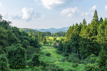豊かな自然の風景