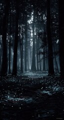 Dark, misty forest scene