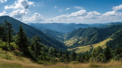Obraz premium Panoramic Mountain Valley View With Forest
