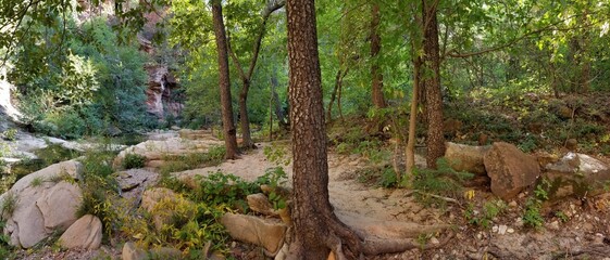 West Fork Canyon, Sedona, Arizona.