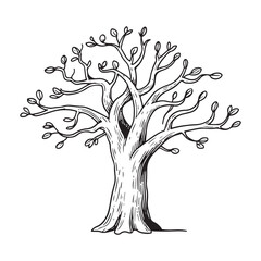 Elegant Hand-Drawn Tree with Leaves