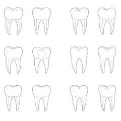 Tooth illustrations