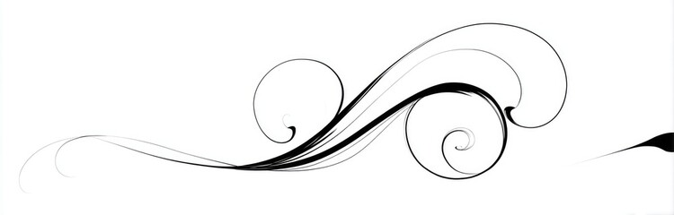 Abstract black and white decorative design.  Intricate swirling lines create flowing, graceful curves and elegant flourishes.  