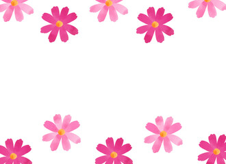 ピンクのコスモス背景イラスト