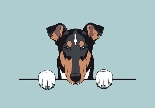 Illustration of a smooth collie dog's head looking over a ledge, with paws visible.
