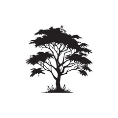 Obraz premium Elegant Acacia Tree Silhouette – Black Vector on White.