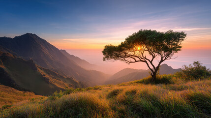 breathtaking summer dawn mountainscape unfolds featuring solitary tree standing majestically against pristine