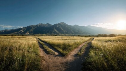 Two dirt paths diverging in a golden field, leading to a mountain range under a vibrant blue sky