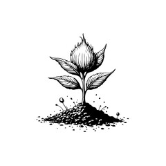 Monochrome illustration of a young plant seedling sprouting from fertile soil