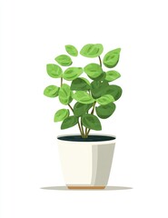 Vibrant green potted plant