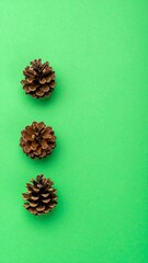 Three pinecones on lime green background