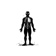 Striking anatomical artwork: Silhouette of human body with skeletal structure