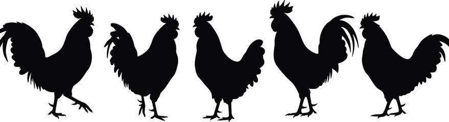 Silhouette set of roosters in various poses, black rooster illustration, poultry clipart, chicken design for farm, vintage vector style