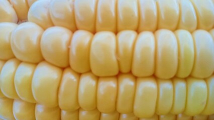 Close up of corn textured for background 
