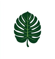 Dark green, bold monstera leaf graphic