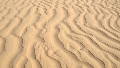 Fototapeta premium Sand dune patterns