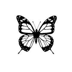 intricate monochrome butterfly illustration with detailed wing patterns on a clean white background