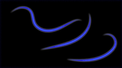 Long exposure of motorways as speed. Neon spiral lines in yellow blue and purple colors. Image of speed motion on the road. spirals and arcs. vector illustration