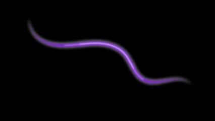 Long exposure of motorways as speed. Neon spiral lines in yellow blue and purple colors. Image of speed motion on the road. spirals and arcs. vector illustration