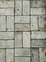 Beautiful White Brick Road Pattern Arrangement Decorated with Dry Fallen Leaves