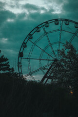 ferris wheel at night