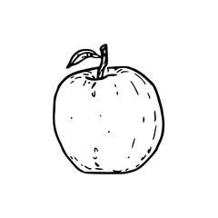 simple hand-drawn apple illustration