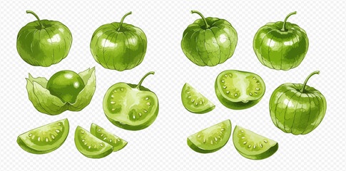 A detailed illustration set of fresh green tomatillos, shown whole, peeled from the husk, halved, and sliced into wedges.