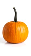 Obraz premium A vibrant orange pumpkin, small and round, sits on a reflective white surface, its stem elegantly curved