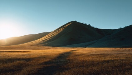 Sunrise over a vast, grassy plain leading to a low, rounded mountain range.  Golden, sun-drenched hues across the landscape.  Soft shadows on the rolling hills.  Clear, cerulean sky
