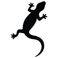 Black gecko silhouette on white background lizard reptile