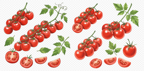 A detailed set of illustrated ripe cherry tomatoes on vines, with whole, halved, and sliced pieces, and green leaves.