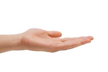 Open Human Hand Extended Palm Upward Offering Support or Presenting an Item with Soft Lighting