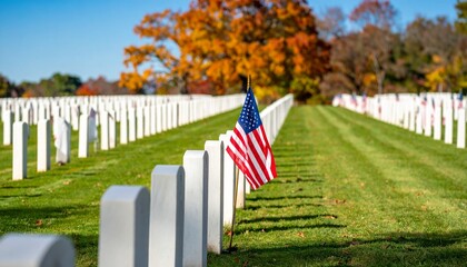 Veterans Day at Arlington National Cemetery with American Flags and Autumn Colors
