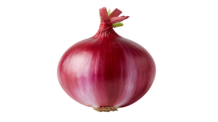 A detailed close up of a single whole red onion showcasing its vibrant purple and crimson papery skin concentric layers and globular shape a fundamental vegetable for cooking.