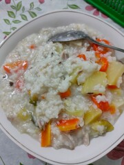 MPASI Porridge – Nutritious Complementary Food for Your Baby - before blended
