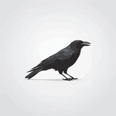 vector illustration of crow 