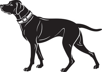 Black Silhouette of a Pointer Dog Standing animal canine