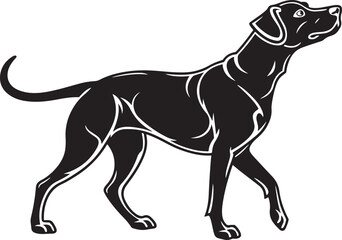 Black Silhouette of a Walking Pointer Dog animal canine