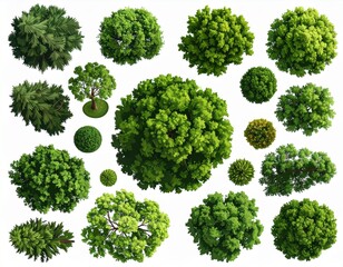 Vector set. Trees top view. Different plants and trees vector set for architectural