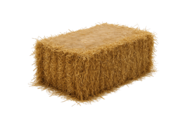 Rectangular Bale of Dry Golden Straw, Pressed Tightly with Visible Fibers, Isolated on a Black Background