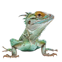 Naklejka premium Colorful Lizard with Unique Scales and Interesting Features