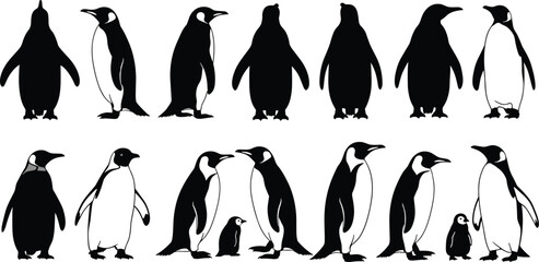 Penguin silhouette set, black and white vector icons, adult and chick poses, wildlife clipart, arctic animals, nature illustration