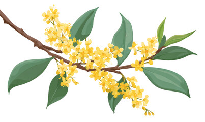 Obraz premium A vibrant illustration of a osmanthus branch with bright yellow flowers and lush green leaves, showcasing natural floral beauty.