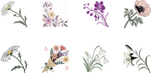 Bundle of 8 Colorful Botanical Flower Illustrations – Vintage Floral Clipart Set for Print, Design, and Digital Art Projects